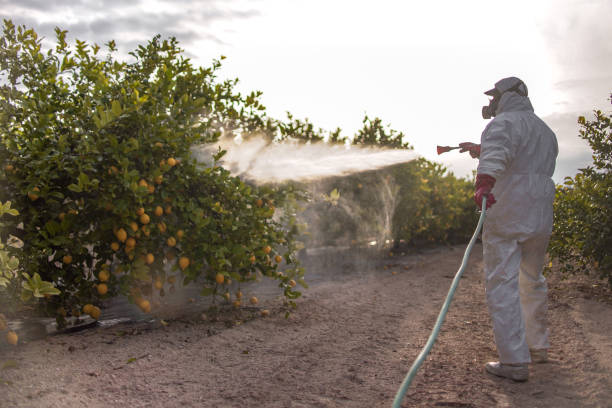 Trusted East Berlin, PA Pest Control Experts